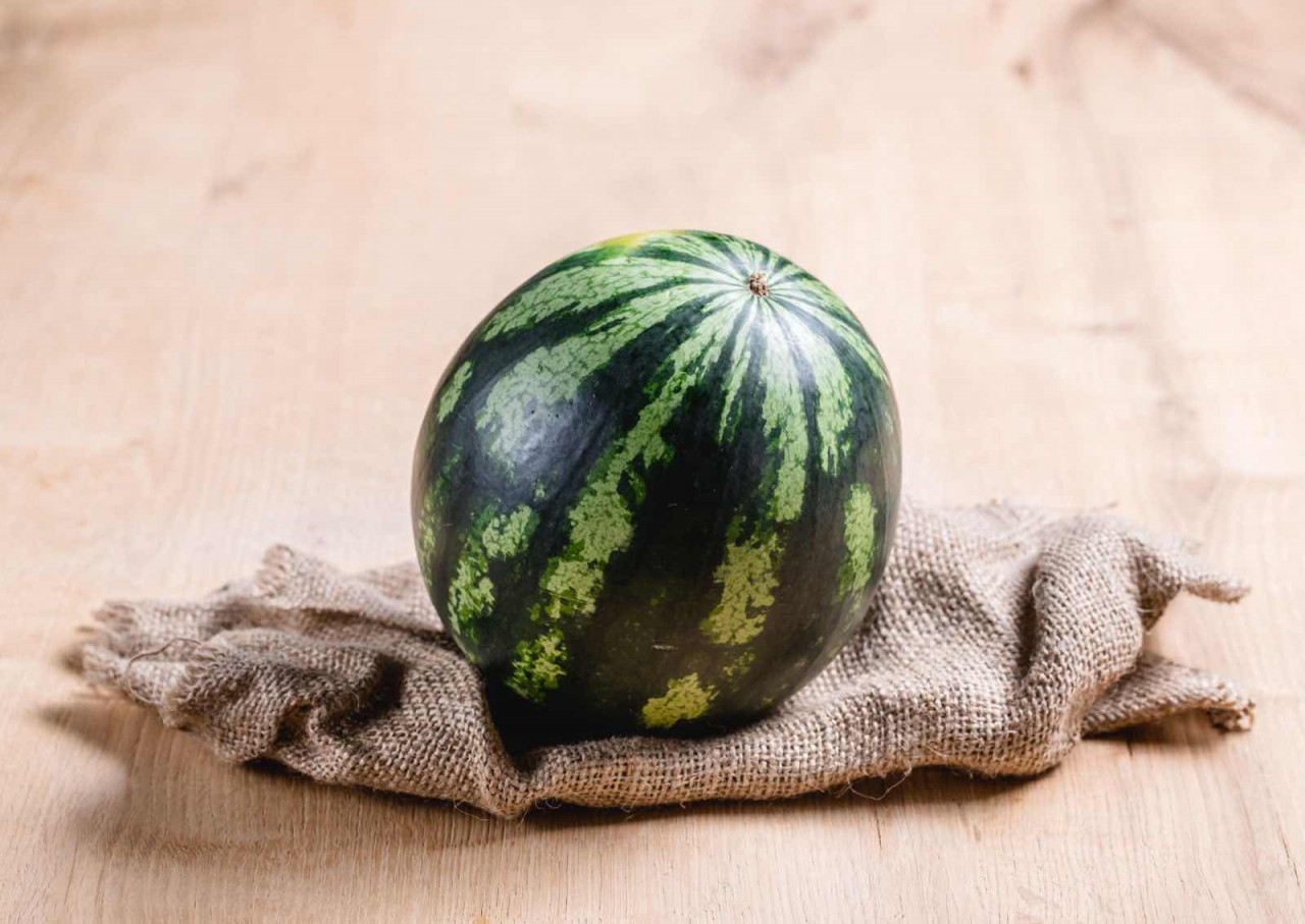 Bio Mini Wassermelone Schneller Frischer Online